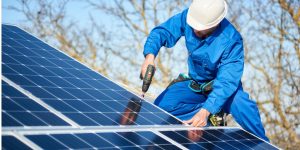 Installation Maintenance Panneaux Solaires Photovoltaïques à Branches